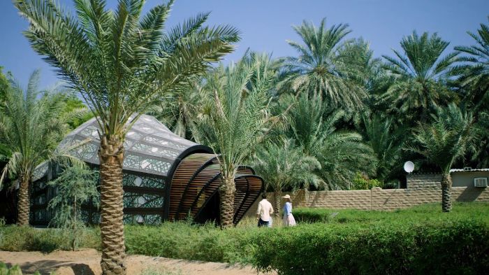 Al Ain Oasis Al Ain Oasis